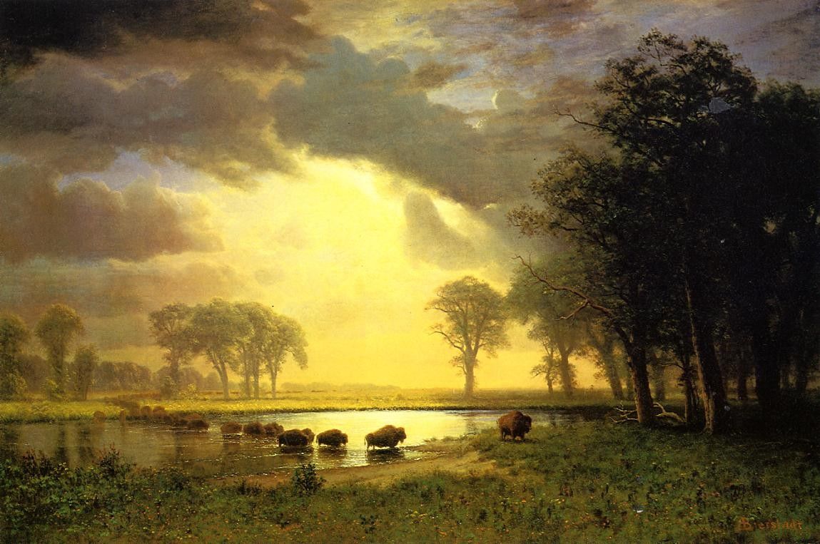 Albert Bierstadt The Buffalo Trail
